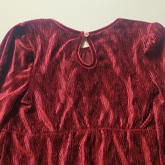 Rare Editions Burgundy Velvet Kids Dress - Picture 10 of 10